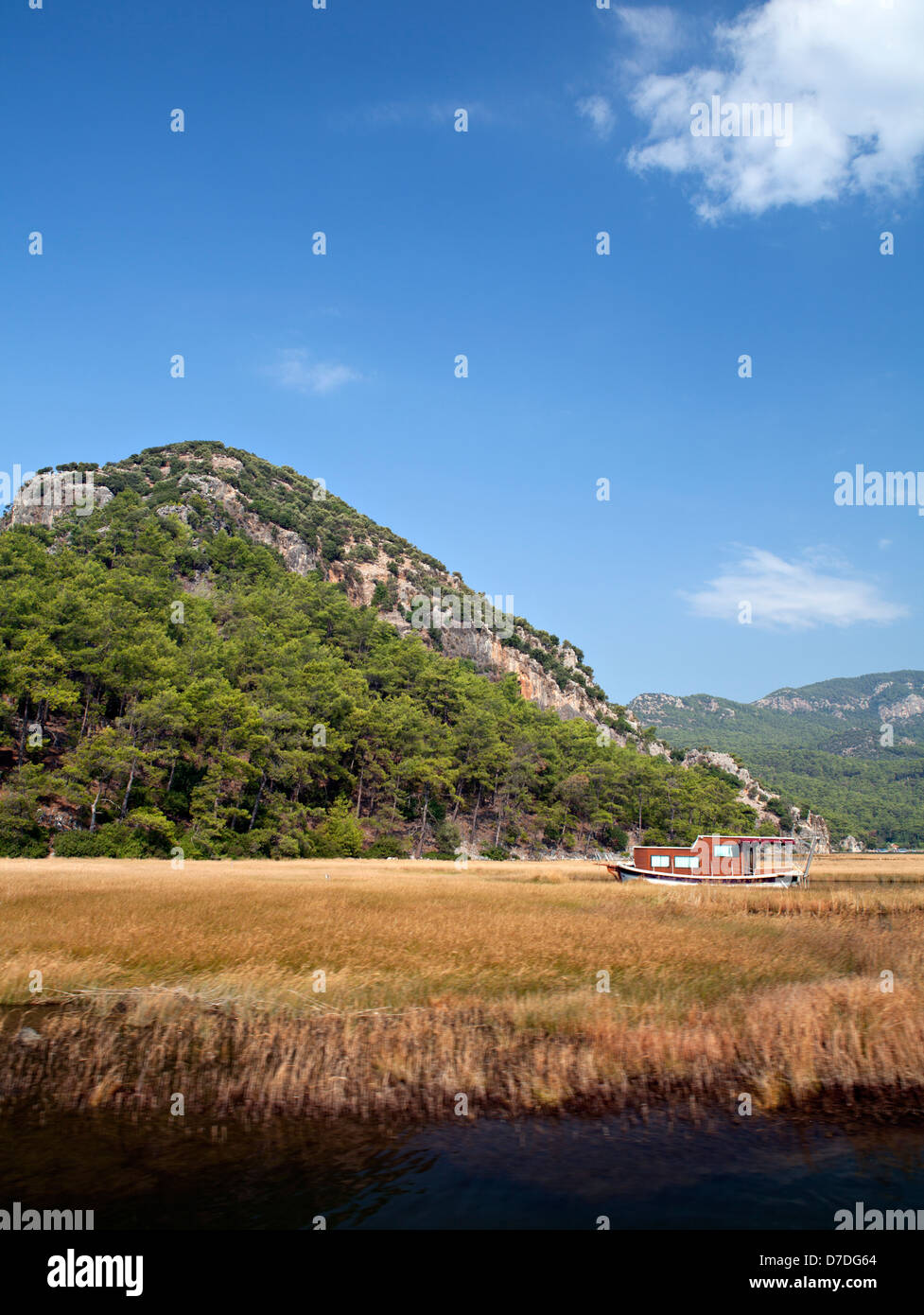 Reeds in Dalyan, Mugla, Turkey Stock Photo - Alamy