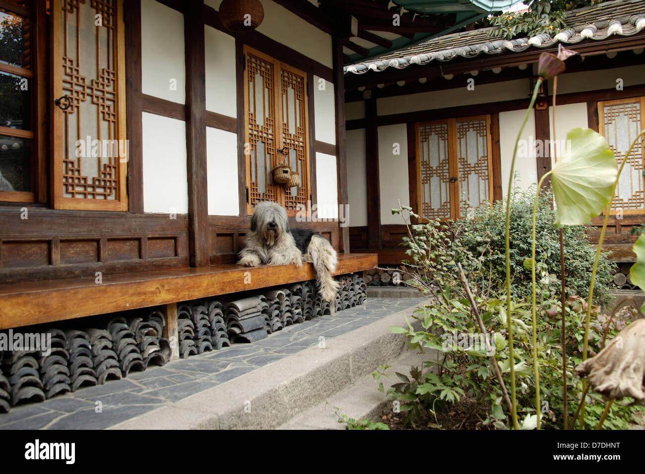 Seoul Guesthouse in a traditonal Hanok home in Seoul , South Korea, Asia Stock Photo