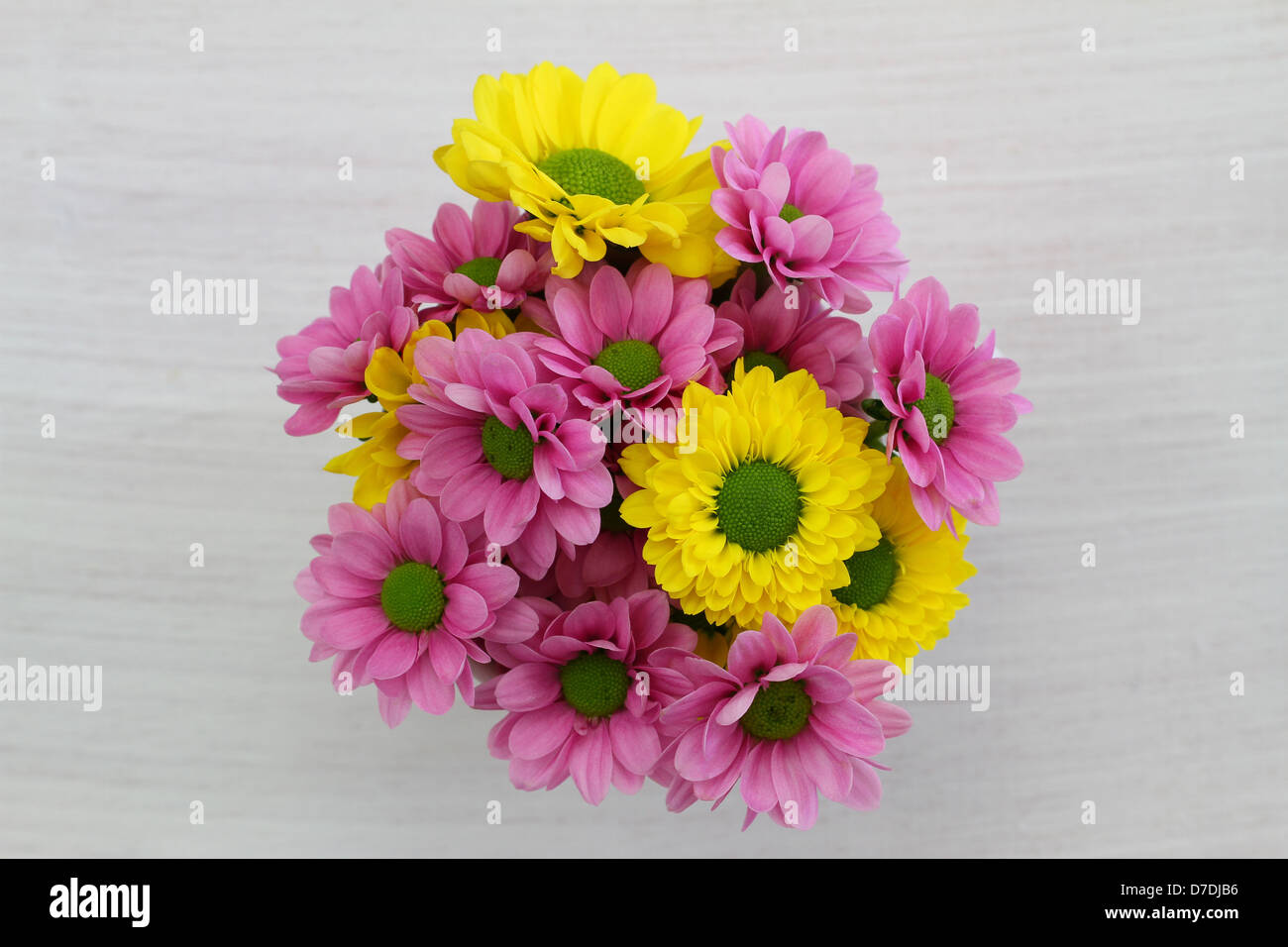 Pink Santini Chrysanthemum Bouquet