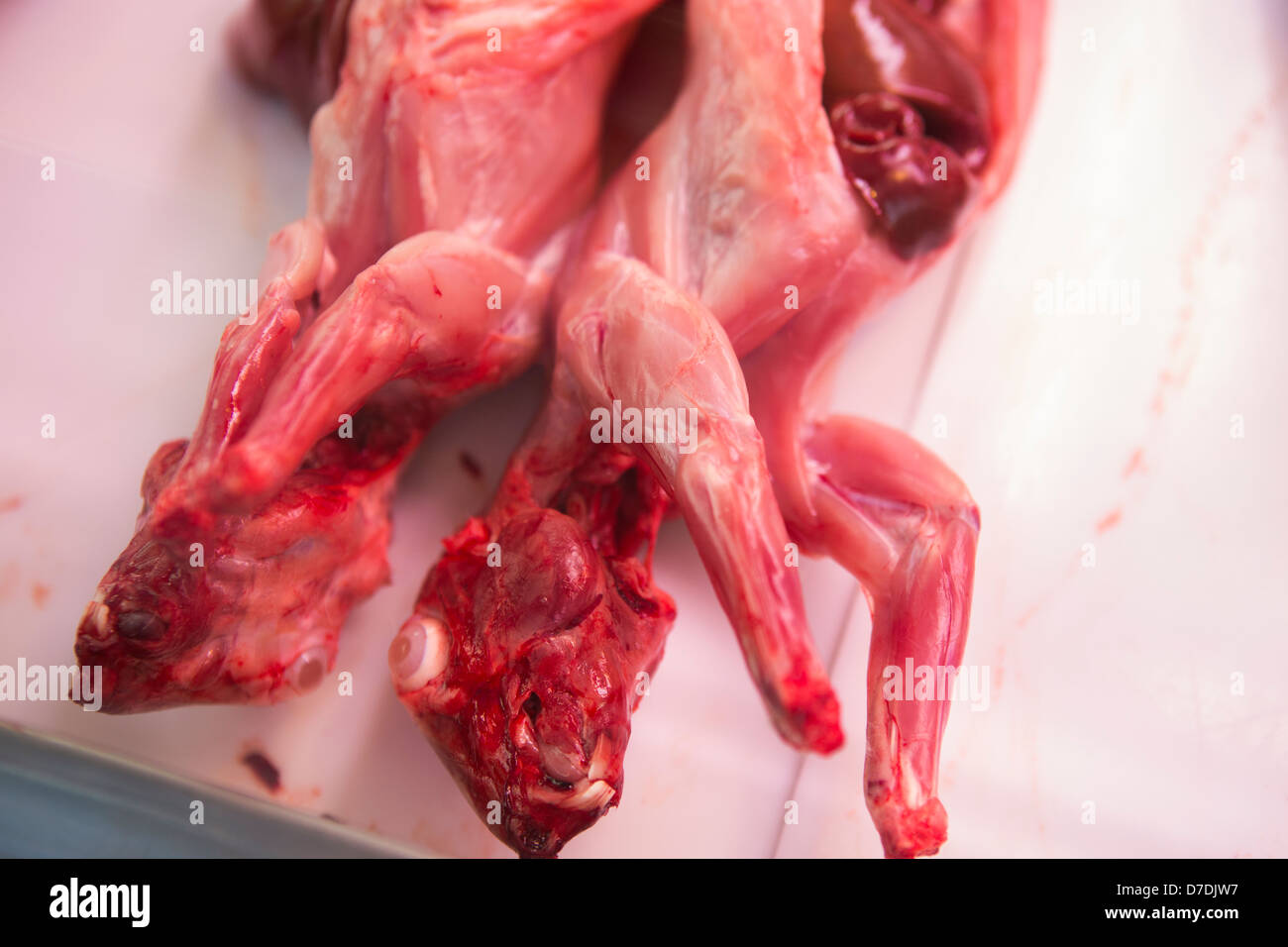 Rabbit in Mercat de la Boqueria - Barcelona, Spain. Stock Photo