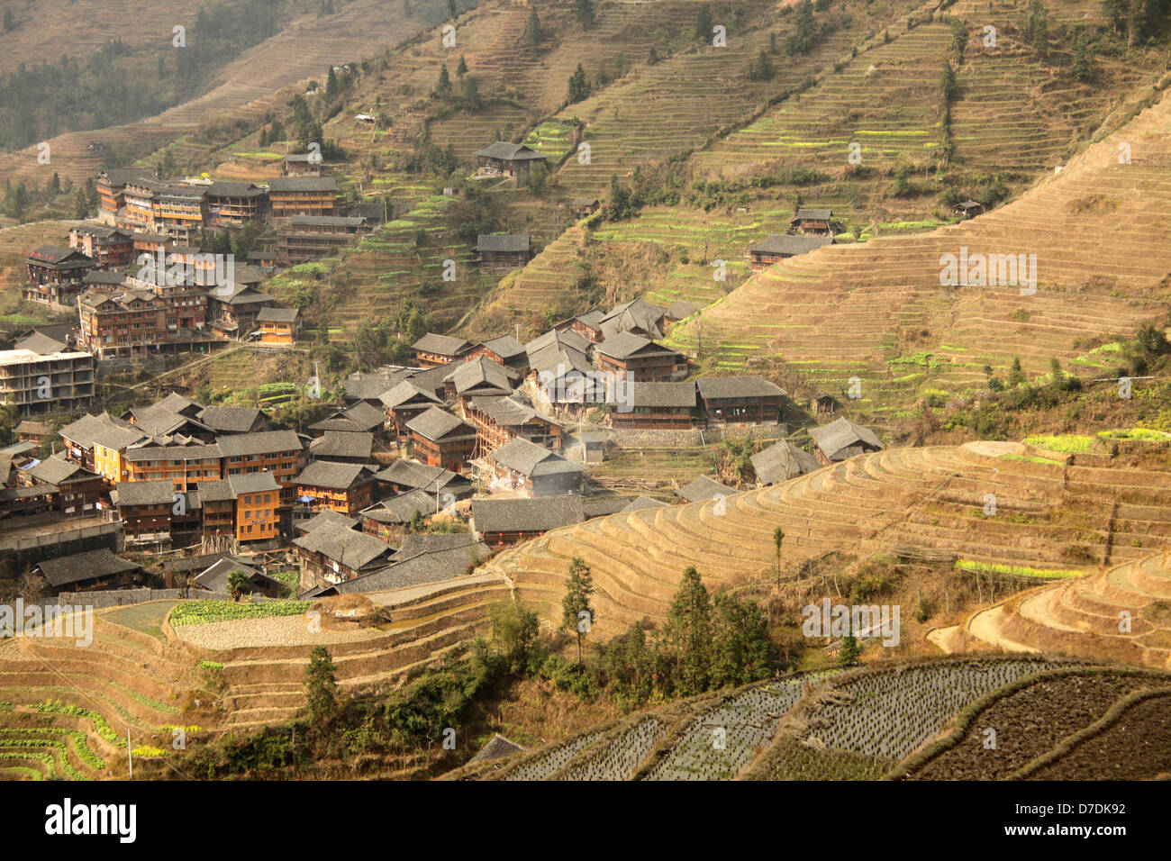 The world-famous rice terraces of Longji 'backbone of the dragon' or 'vertebra of the dragon' and the village of Ping An near th Stock Photo