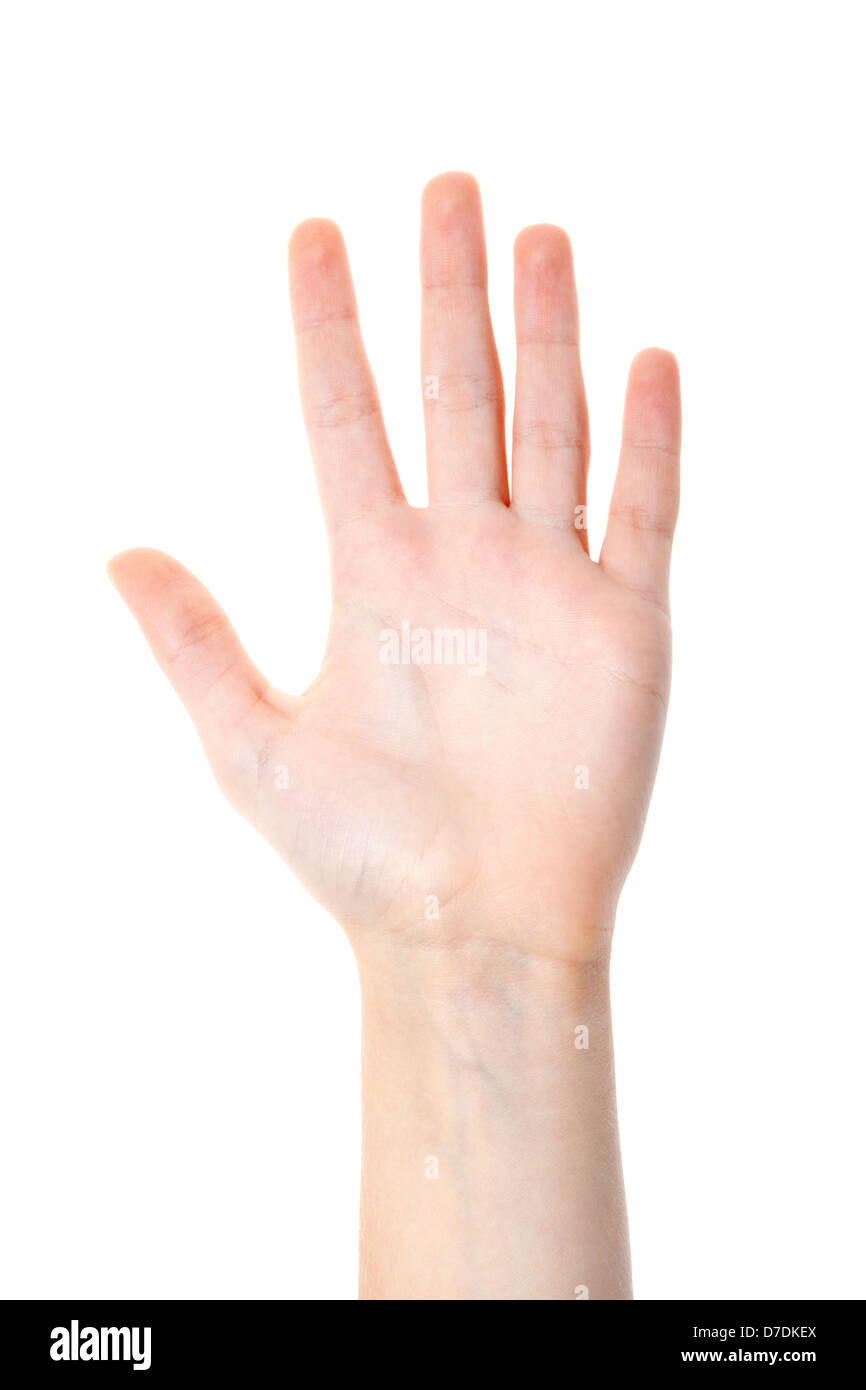Palm Side Of Hand Stock Photo Alamy
