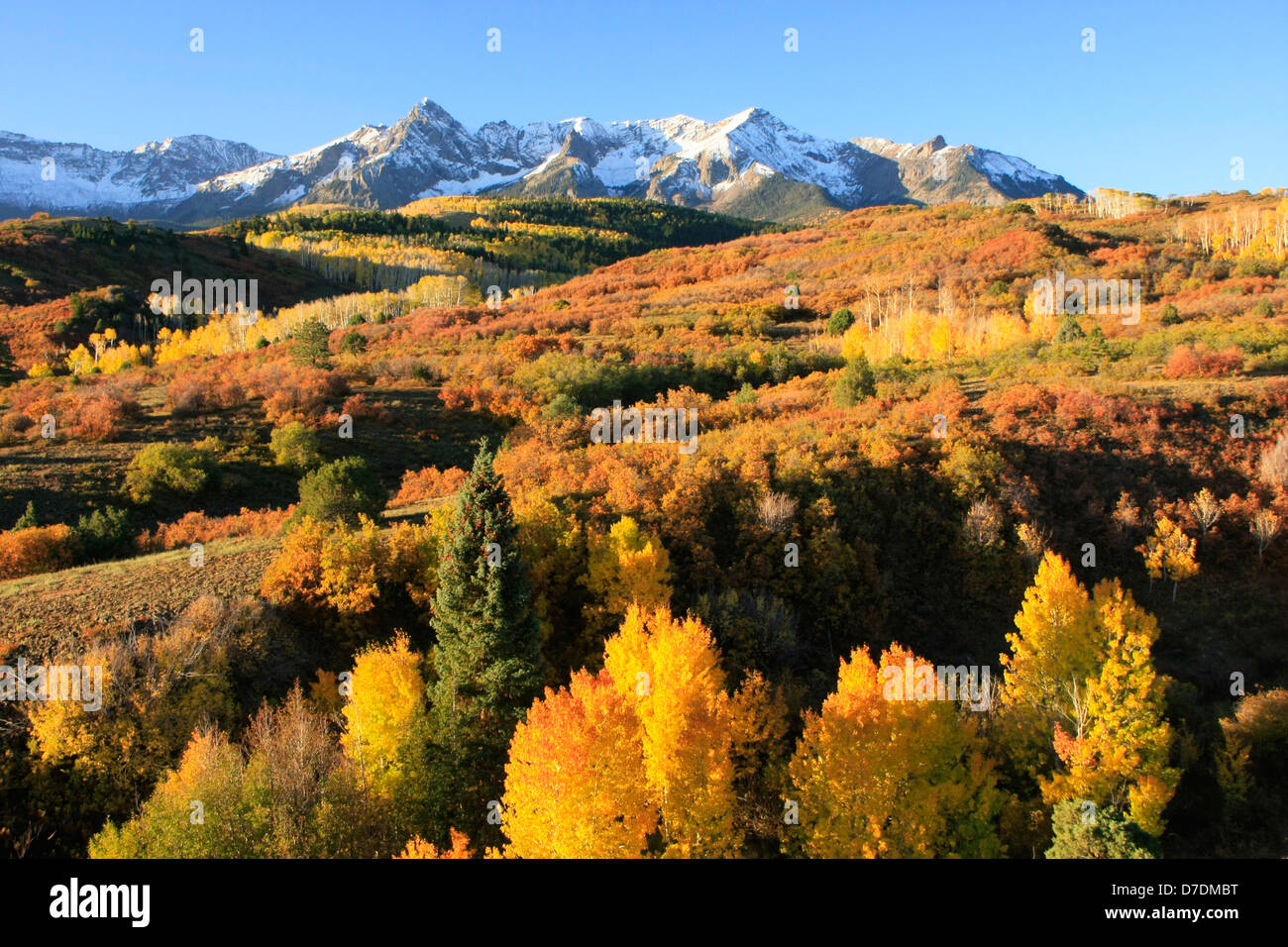 Dallas Divide, Sneffels Range, Colorado, USA Stock Photo Alamy