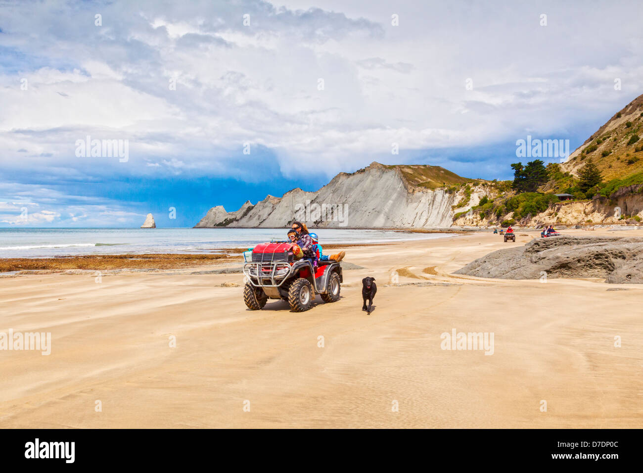 Family riding on quadbike, Cape Kidnappers, Hawkes Bay, New Zealand, with black labrador running alongside. Stock Photo