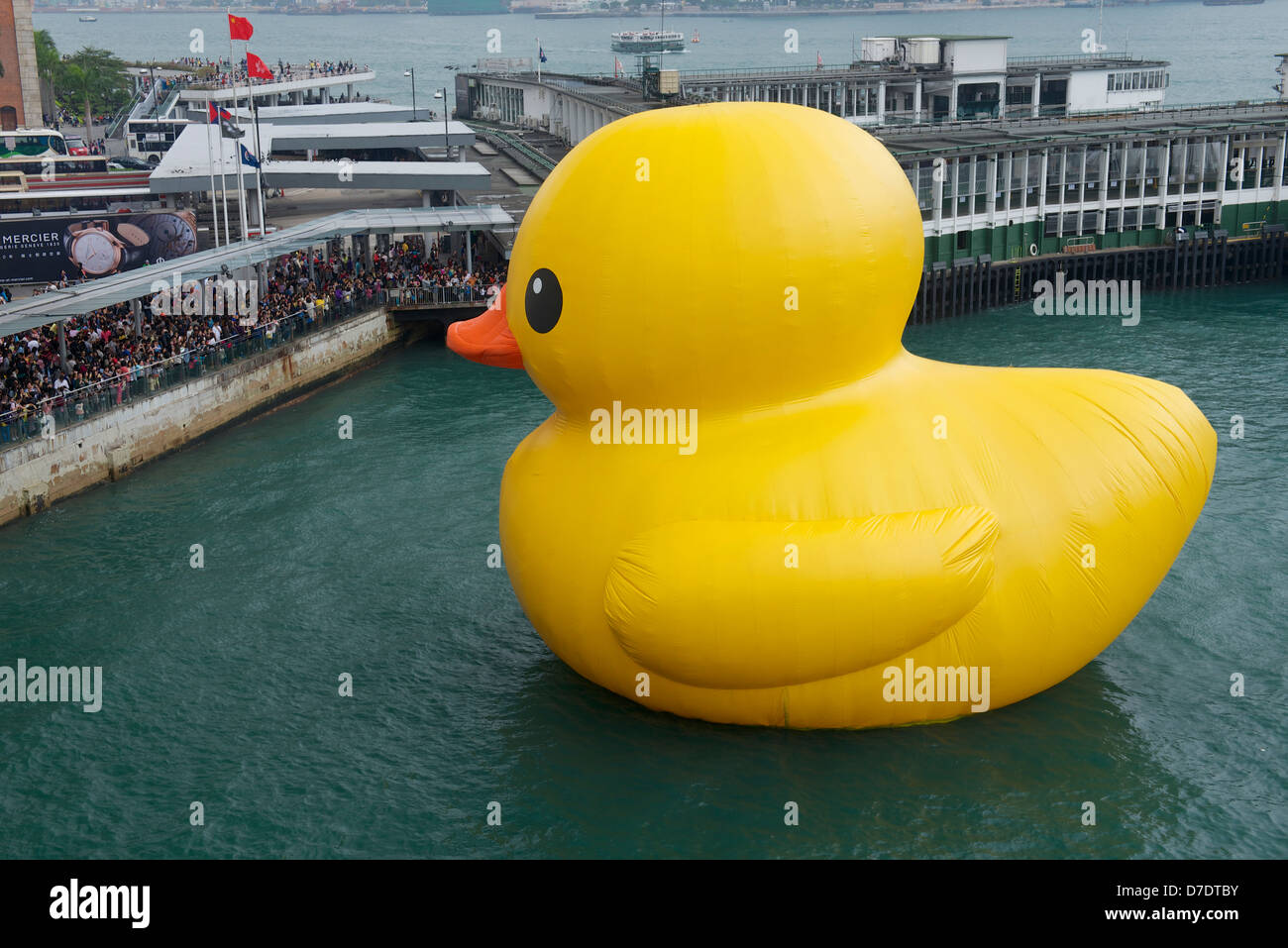 The Rubber Duck Project in Hong Kong. Created by FLORENTIJN HOFMAN. The Hong Kong one is the