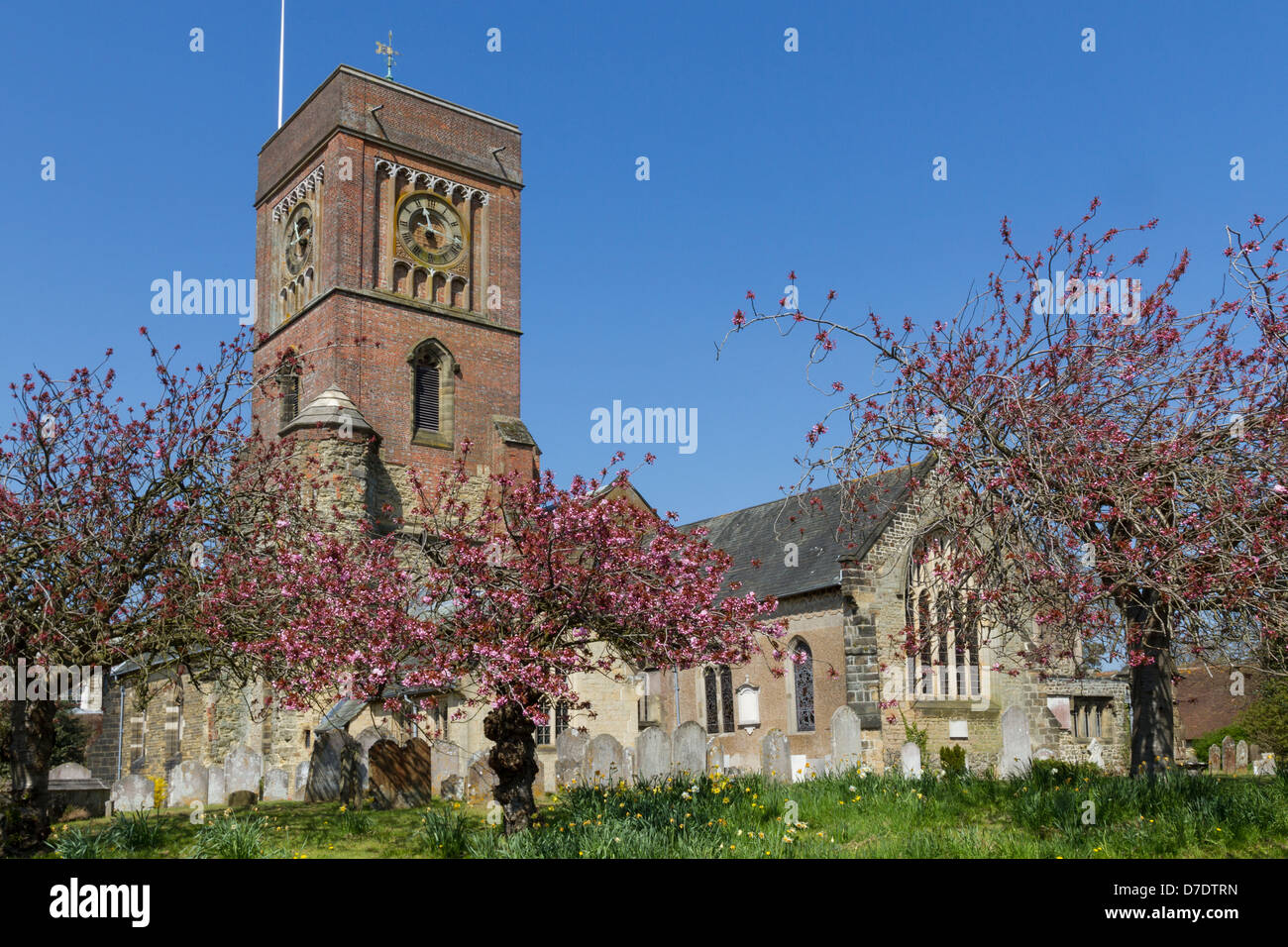 Petworth church hires stock photography and images Alamy