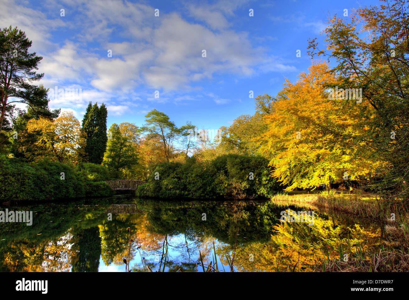 Tranquil lake scene with trees hi-res stock photography and images - Alamy