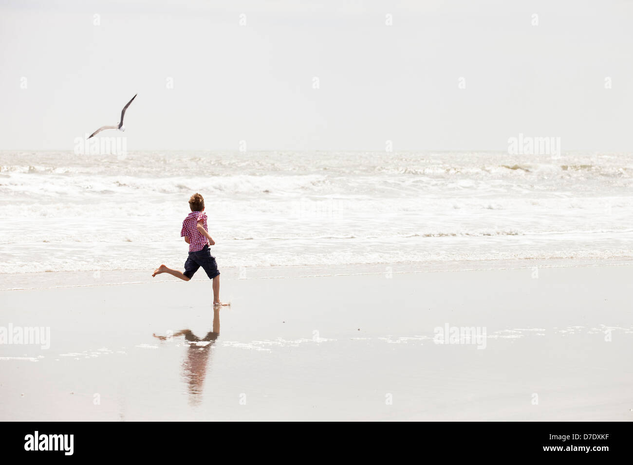 boy running on beach Stock Photo