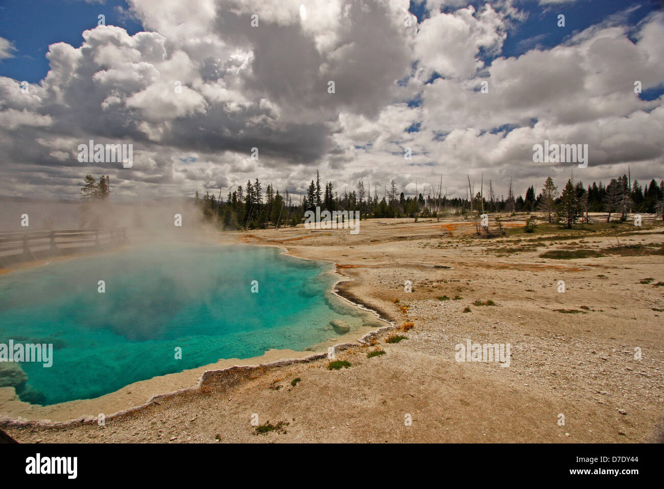 West Thumb Geyser Basin, Yellowstone National Park, Wyoming, USA Stock Photo