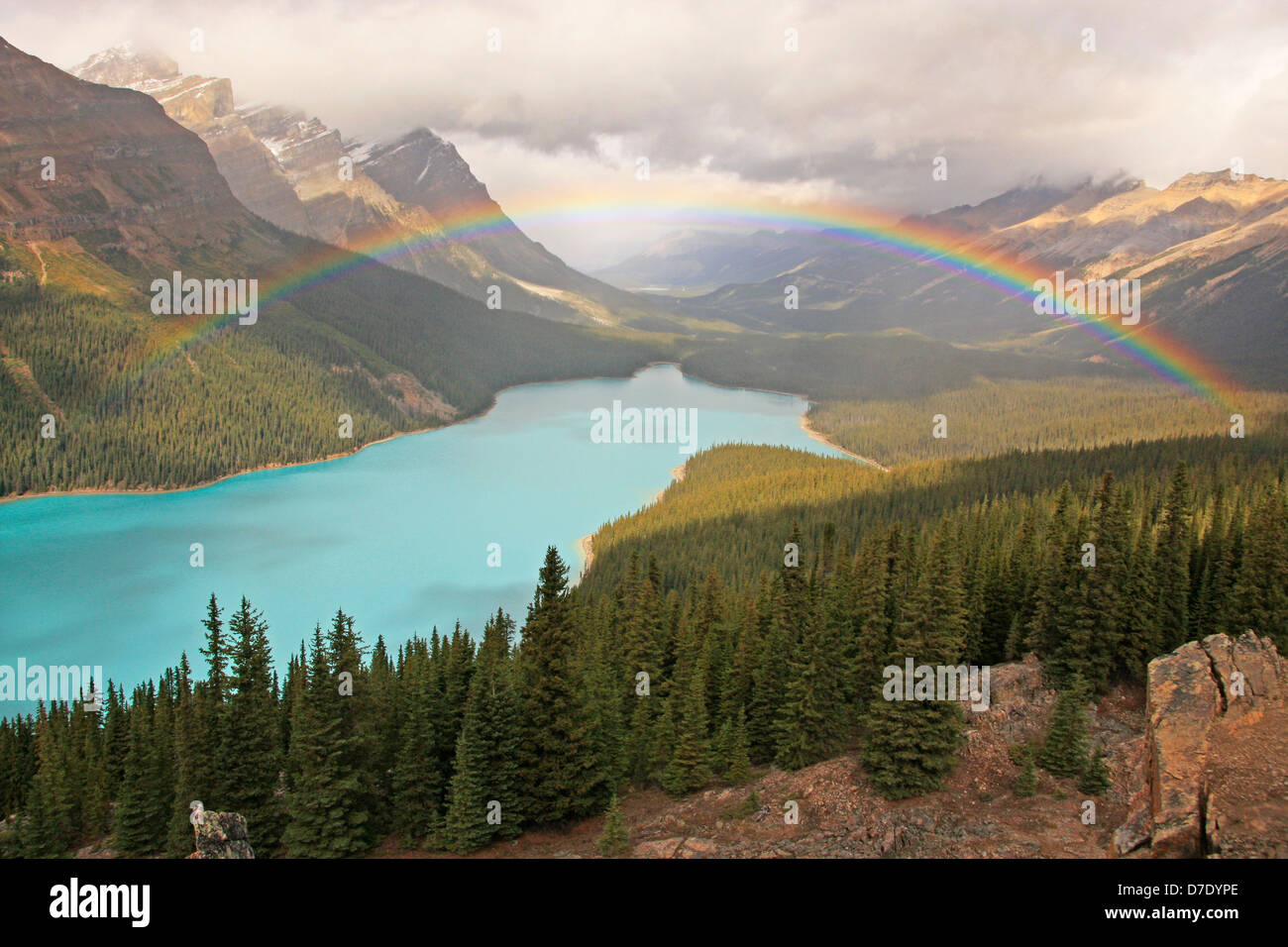 Peyto lake banff national park hi-res stock photography and images - Alamy