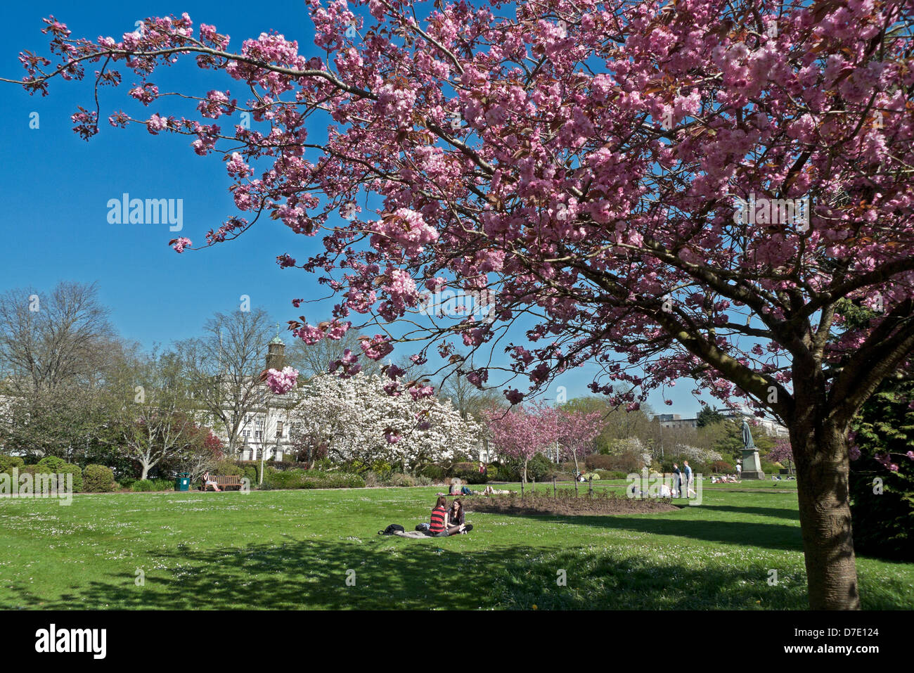 Cardiff Spring Cardiff university and students hi-res stock photography and images - Alamy