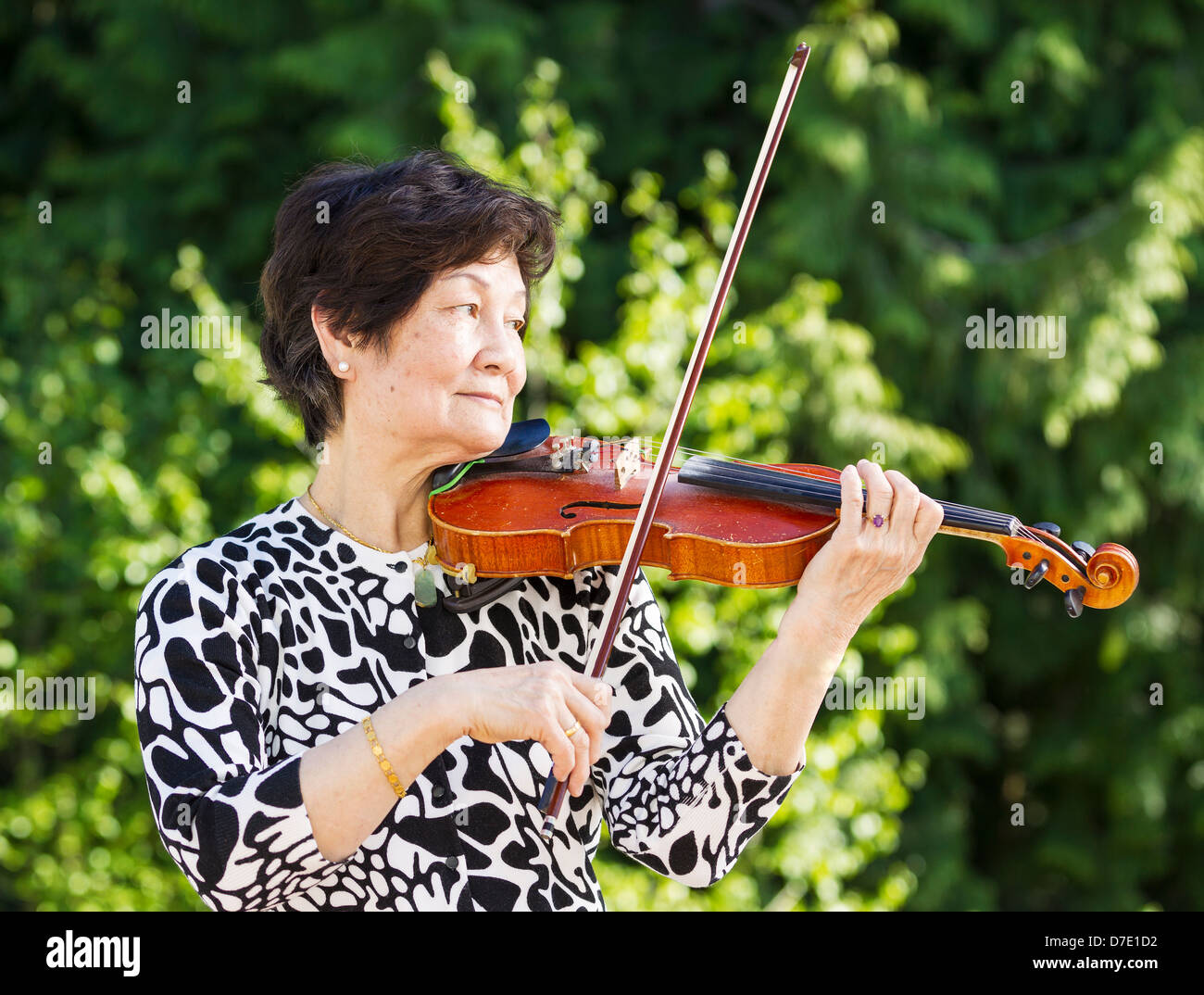 Horizontal photo of Senior Asian woman playing violin outdoors with ...