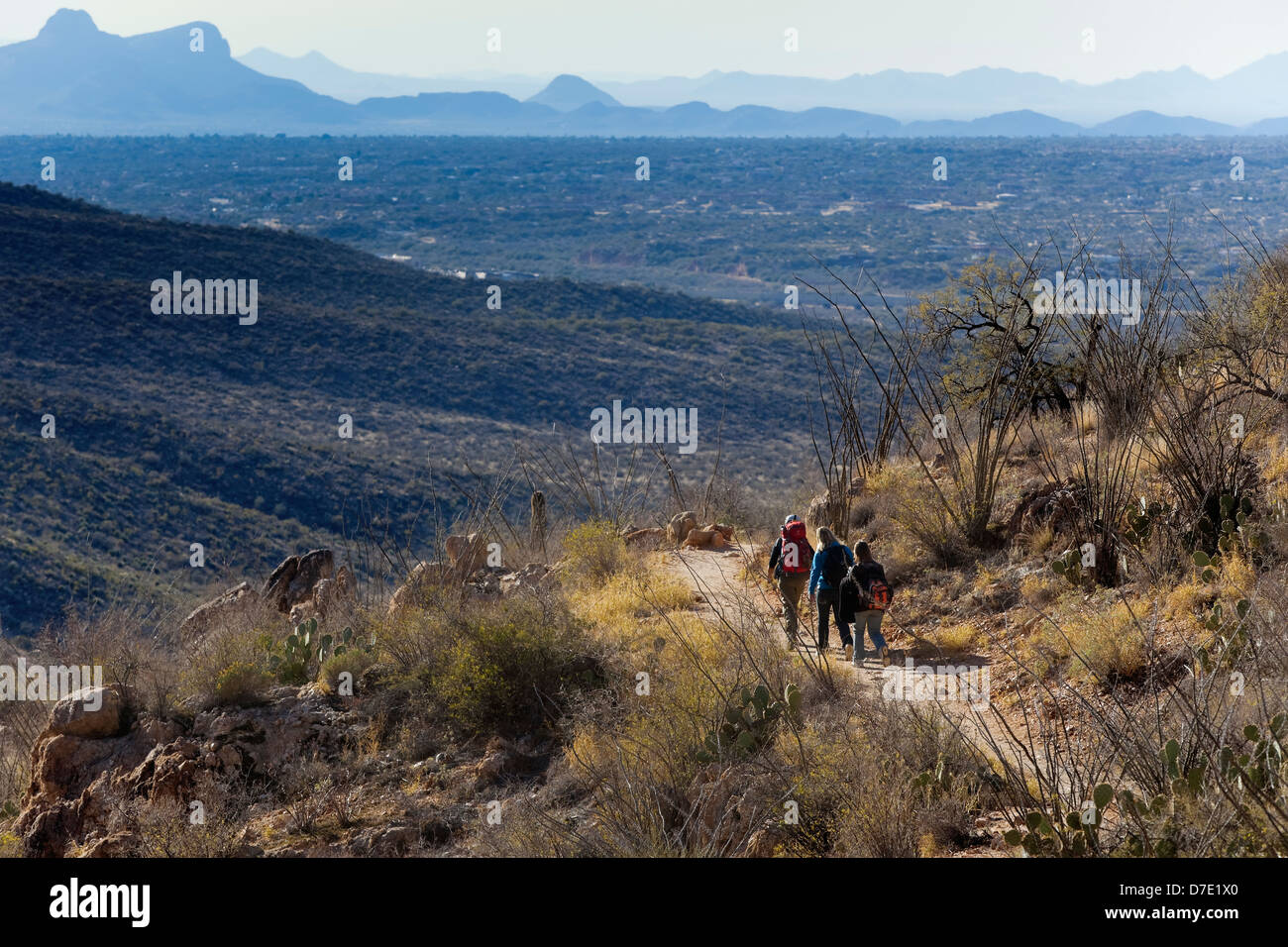 Hiking the Romero Canyon Trail, Catalina State Park, Tucson, AZ Stock Photo