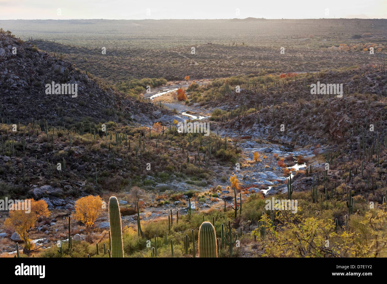 Tanque verde river canyon hires stock photography and images Alamy