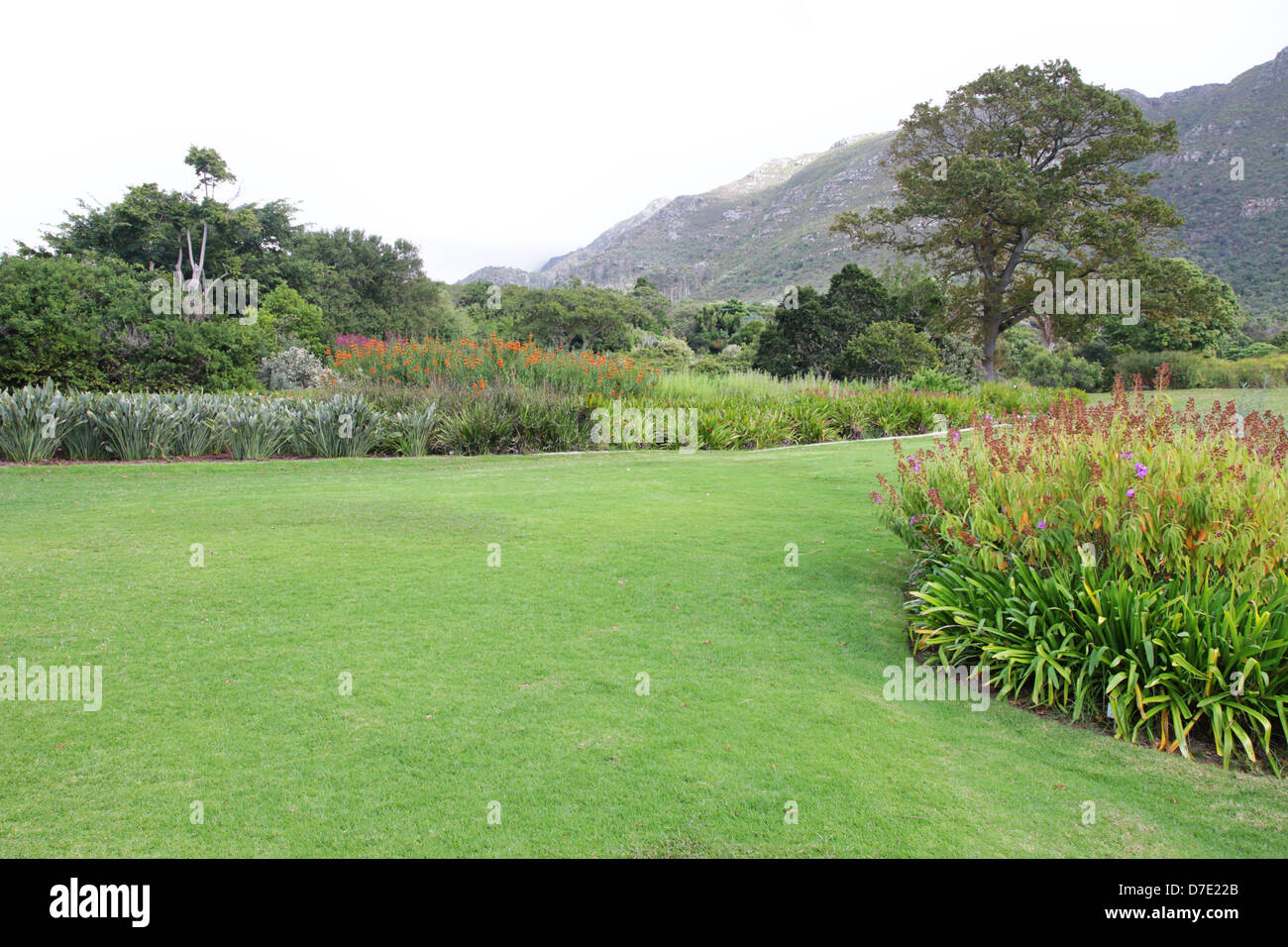 The beautiful Kirstenbosch Gardens in Cape Town, South Africa Stock