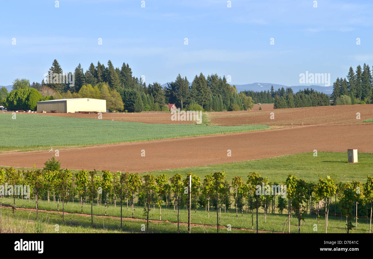 Farming and fields in rural Oregon Stock Photo Alamy