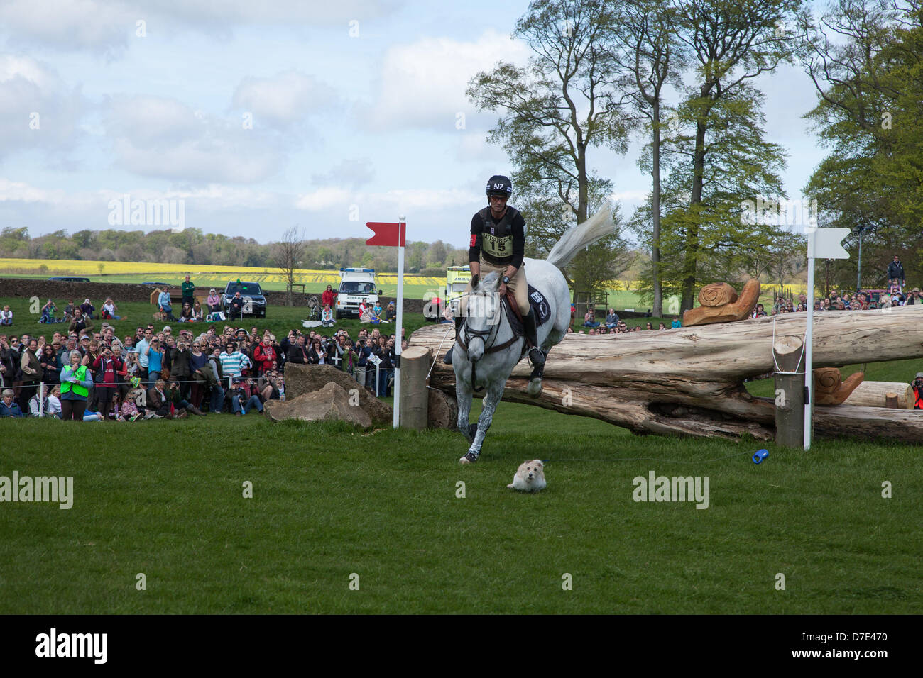 Badminton, UK, 5th May 2013. New Zealand's Andrew Nicholson, riding Avebury, is unperturbed when a stray dog ran onto the course into Andrew's path during the Badminton Horse Trials Cross Country event. The dog ran at full speed into the landing zone of jump 5 at the HorseQuest Quarry jump, dragging its lead behind him. Stock Photo