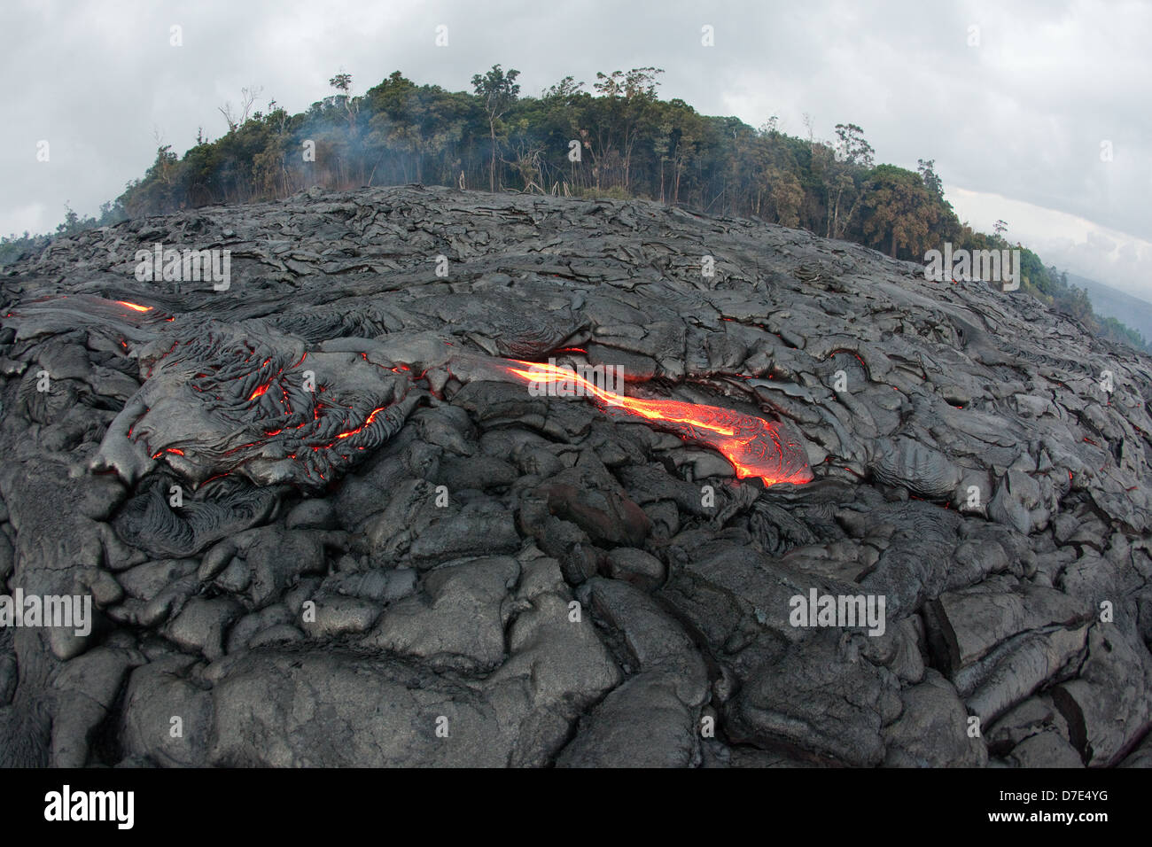 Lava flowing through the Royal Gardens subdivision on the Big Island of Hawaii. Stock Photo