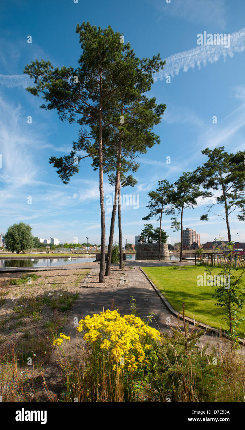Trees and flowers at the Cotton Field Park, New Islington, Ancoats, Manchester, England, UK