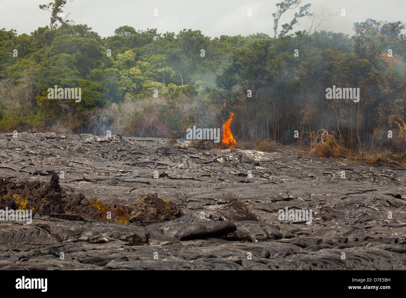 Lava flowing on the Big Island of Hawaii Stock Photo - Alamy