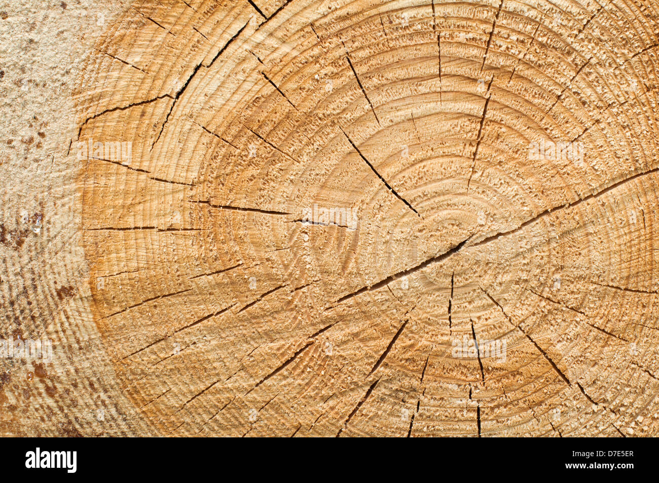 Background of split wood. Close up wood texture Stock Photo Alamy