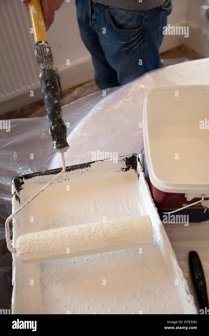 Painting Tray With Roller Stock Photo Alamy