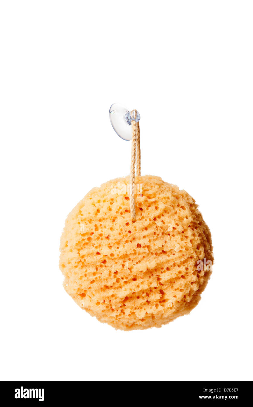 Sponge on a rope Stock Photo - Alamy