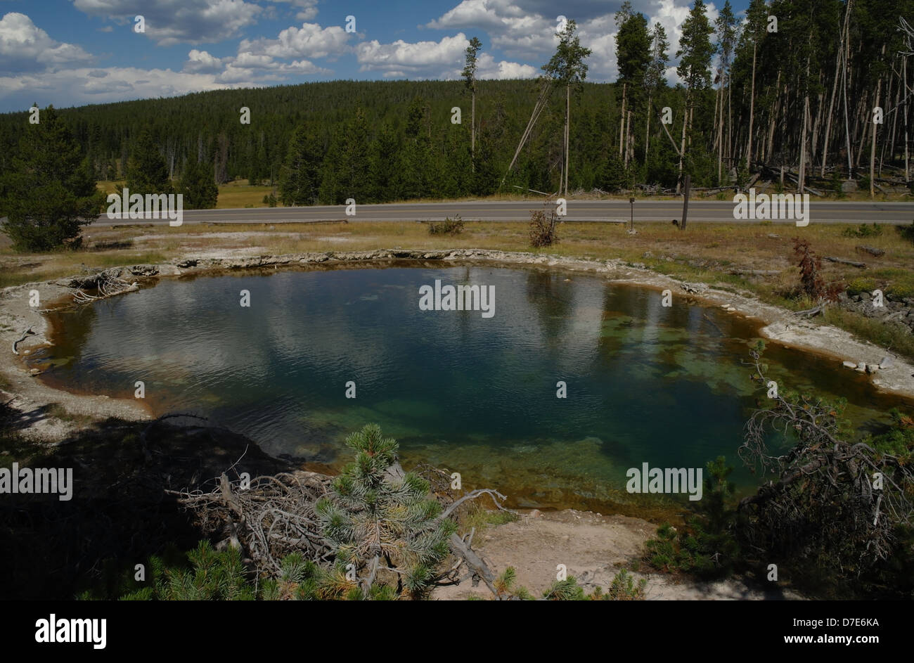 Blue sky white clouds view, north-east to Lodgepole Pines US 287, blue waters Leather Pool, Lower Geyser Basin, Yellowstone, USA Stock Photo