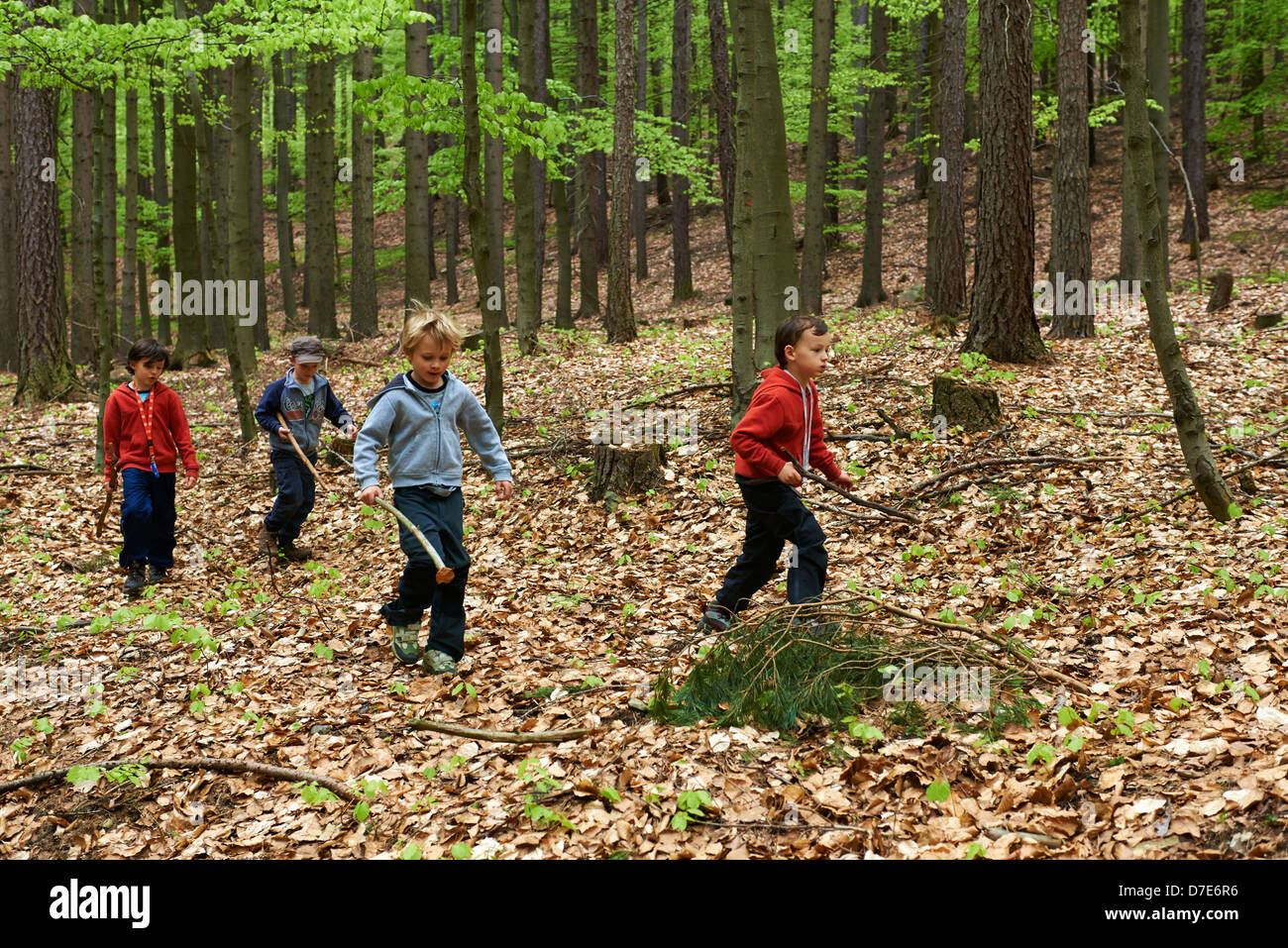 Children exploring in forest - boys playing outdoors Stock Photo