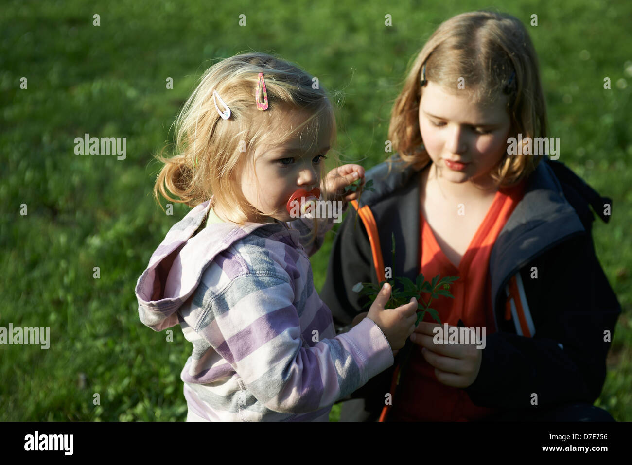 Two children blond girls playing with grass garden and flowers summer time Stock Photo