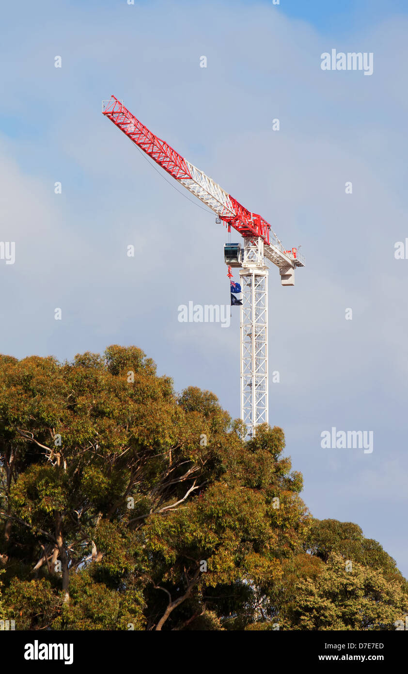 Construction cranes in the city of Adelaide South Australia Stock Photo Alamy