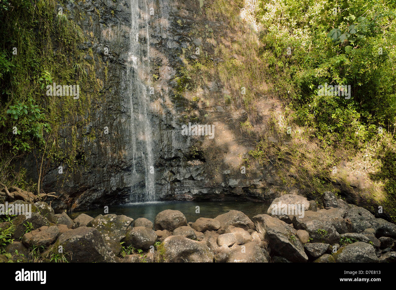 Manoa Falls waterfall emptying into a tiny pond. Stock Photo