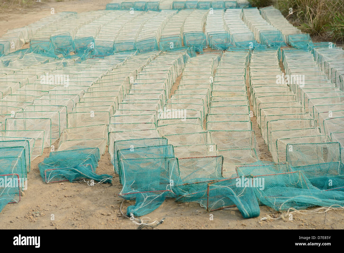 Cages used for catching crabs Stock Photo Alamy