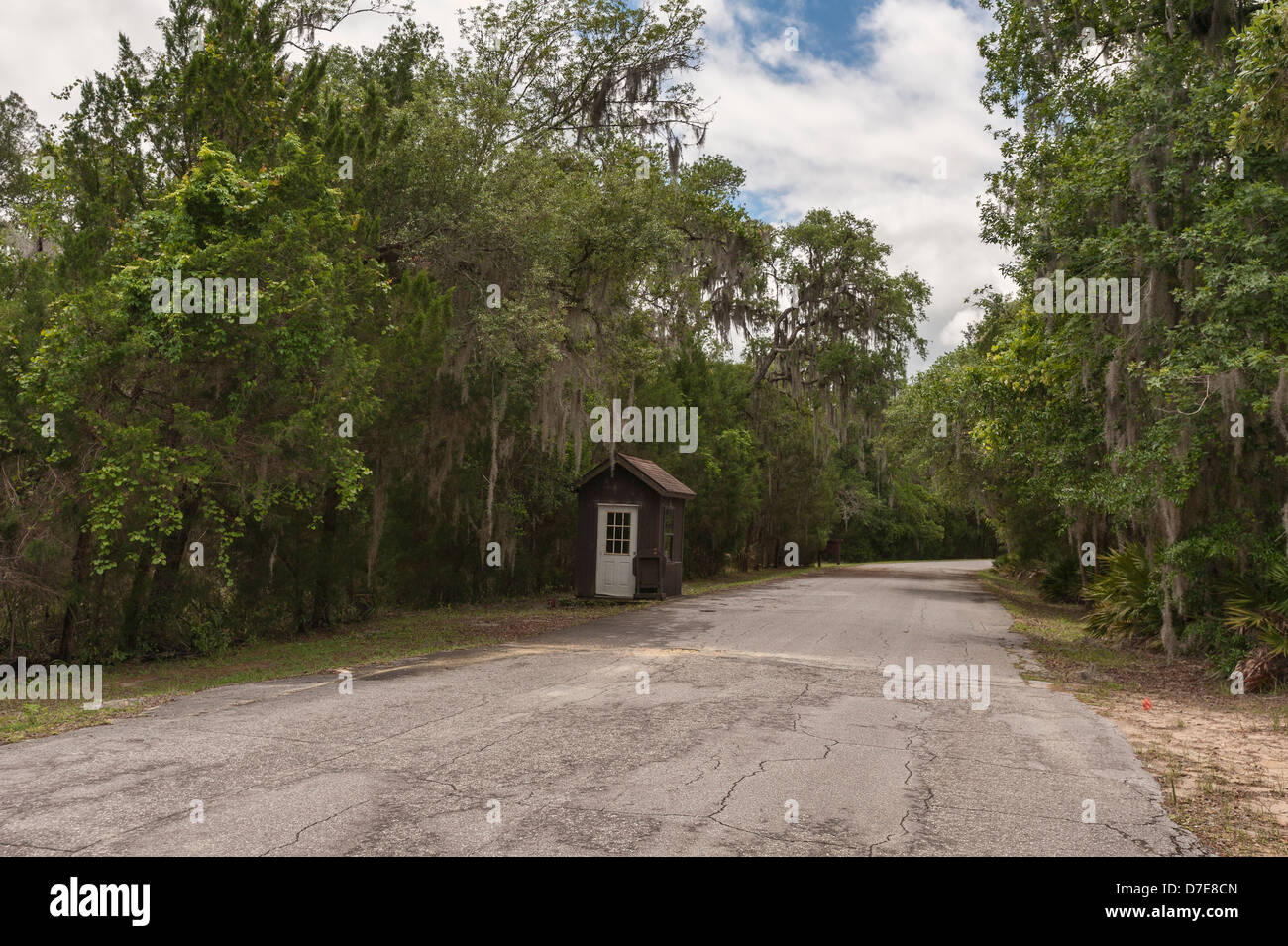 Salt Springs State Park in the Ocala Forest in the State of Florida Stock Photo