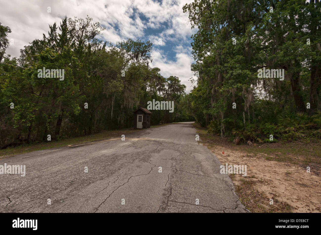 Salt Springs State Park in the Ocala Forest in the State of Florida