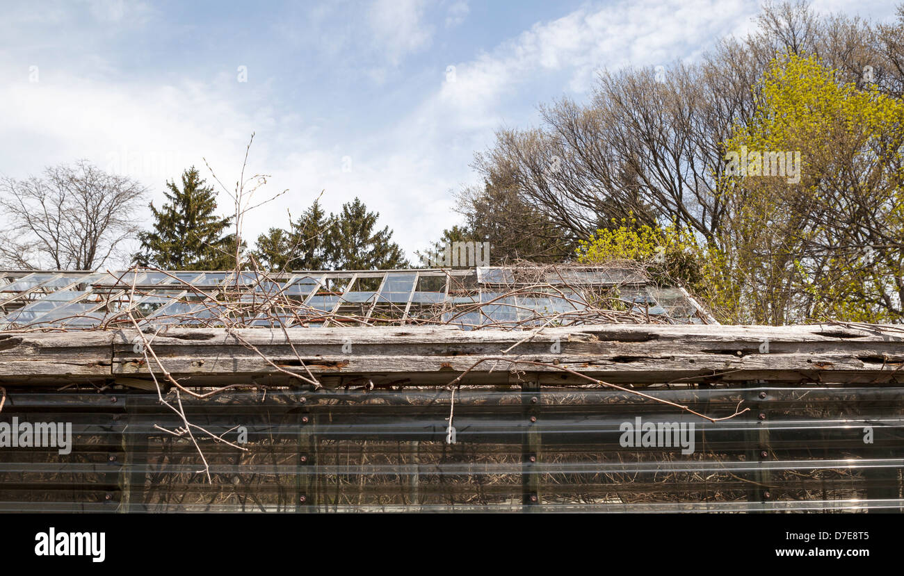 An abandoned greenhouse sits vacant and dilapidated. Stock Photo