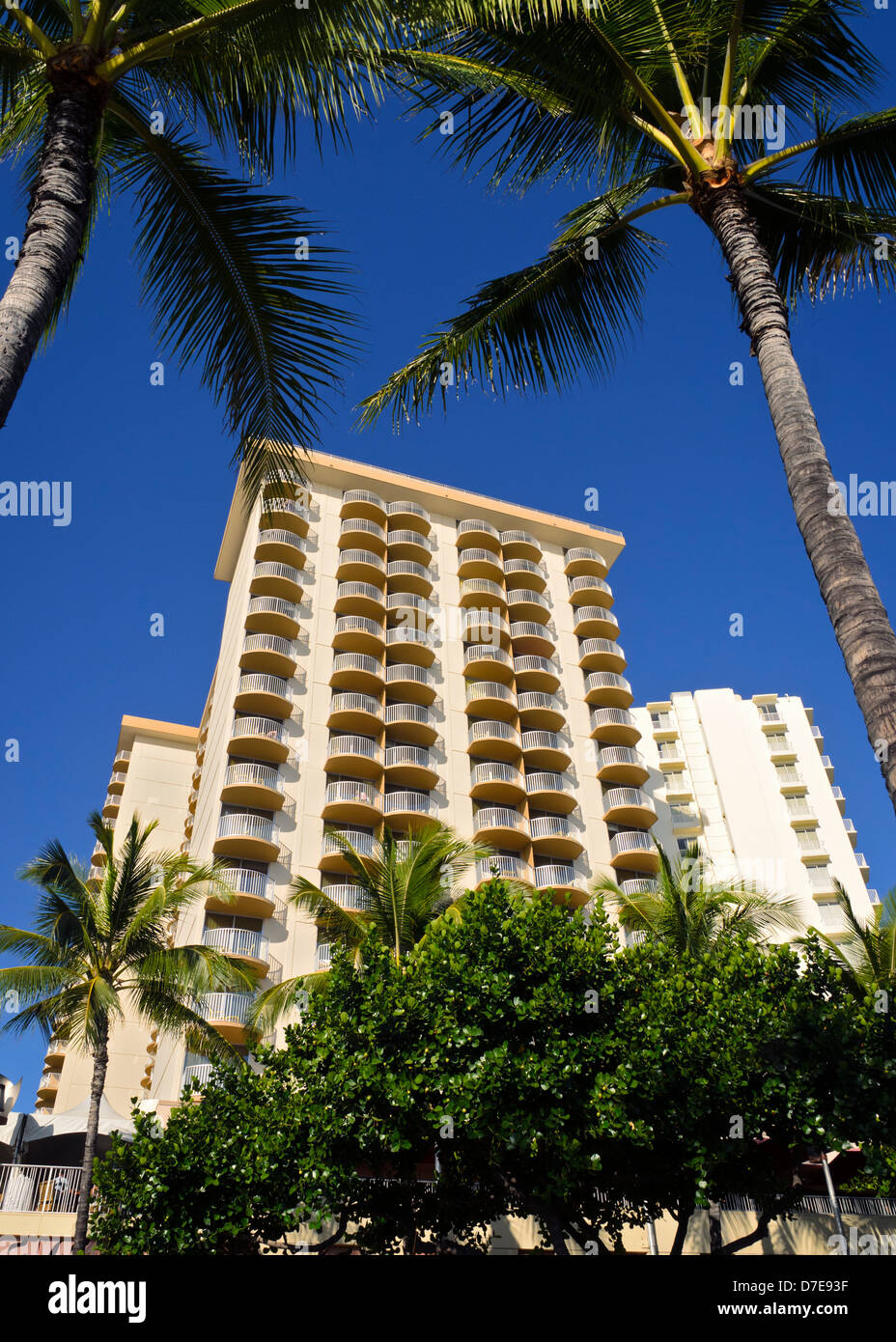 Tall palm trees of waikiki beach hi-res stock photography and images ...