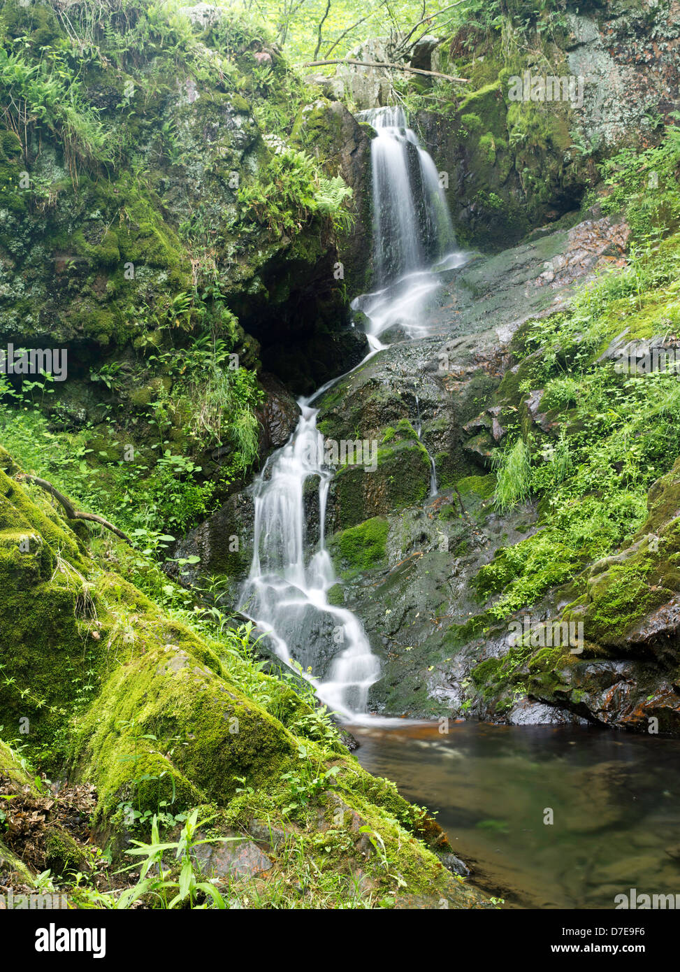 Secret Falls, located on The Nature Conservancy's property along Borns Hollow, Wisconsin. Stock Photo