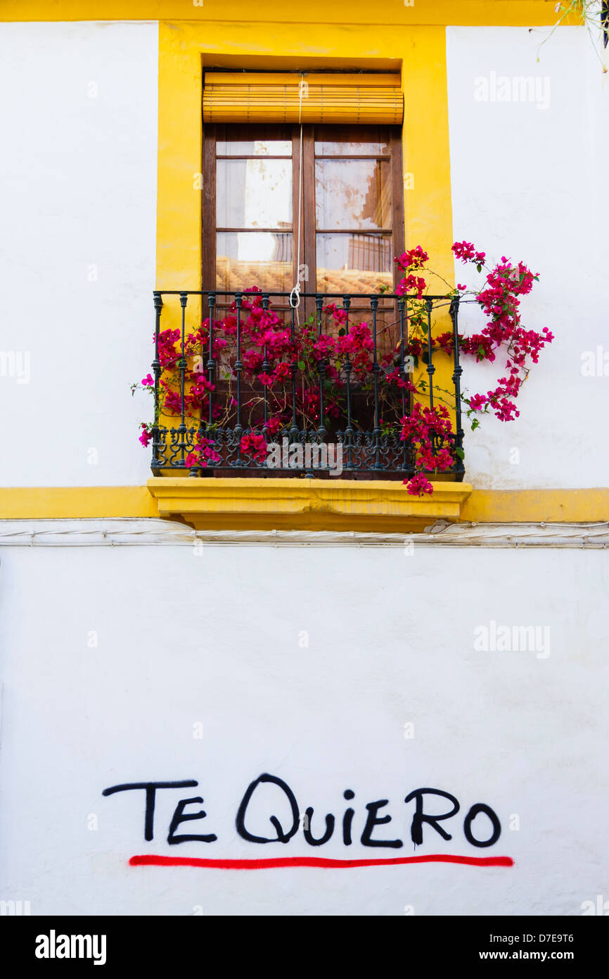 Te quiero (I love you) graffiti under a balcony full of colorful flowerpots in a whitewashed wall at the old Jewish quarter Stock Photo