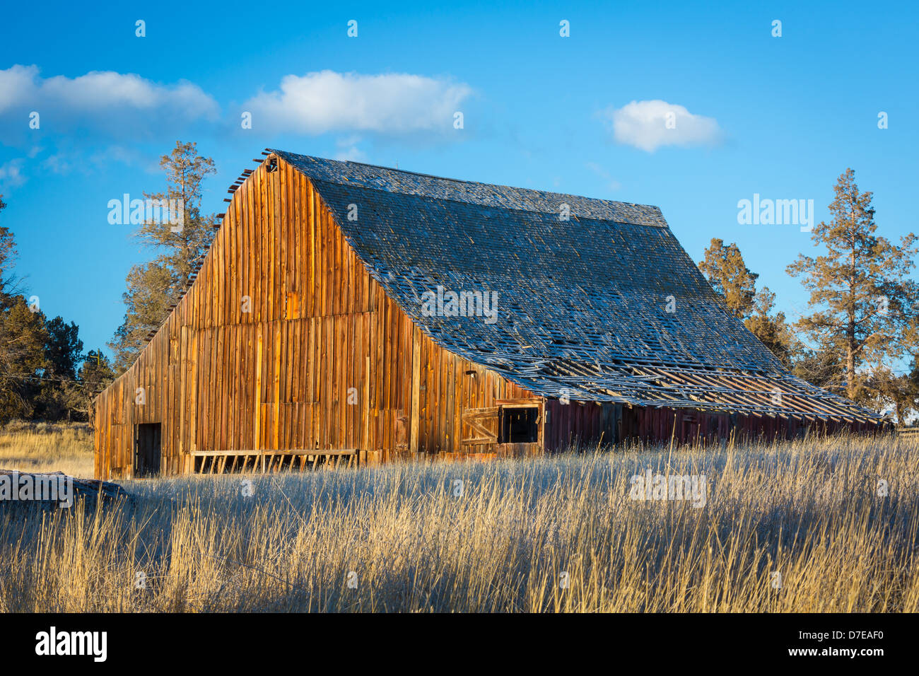 Dilapidated Barn Building In The Bend Area Of Central Oregon Stock