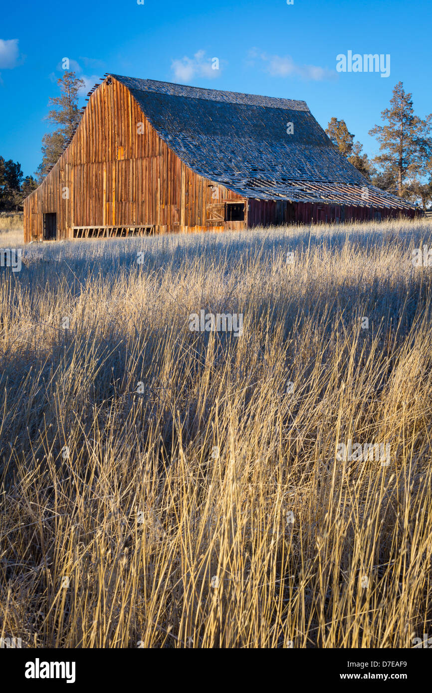 Dilapidated Barn Building In The Bend Area Of Central Oregon Stock