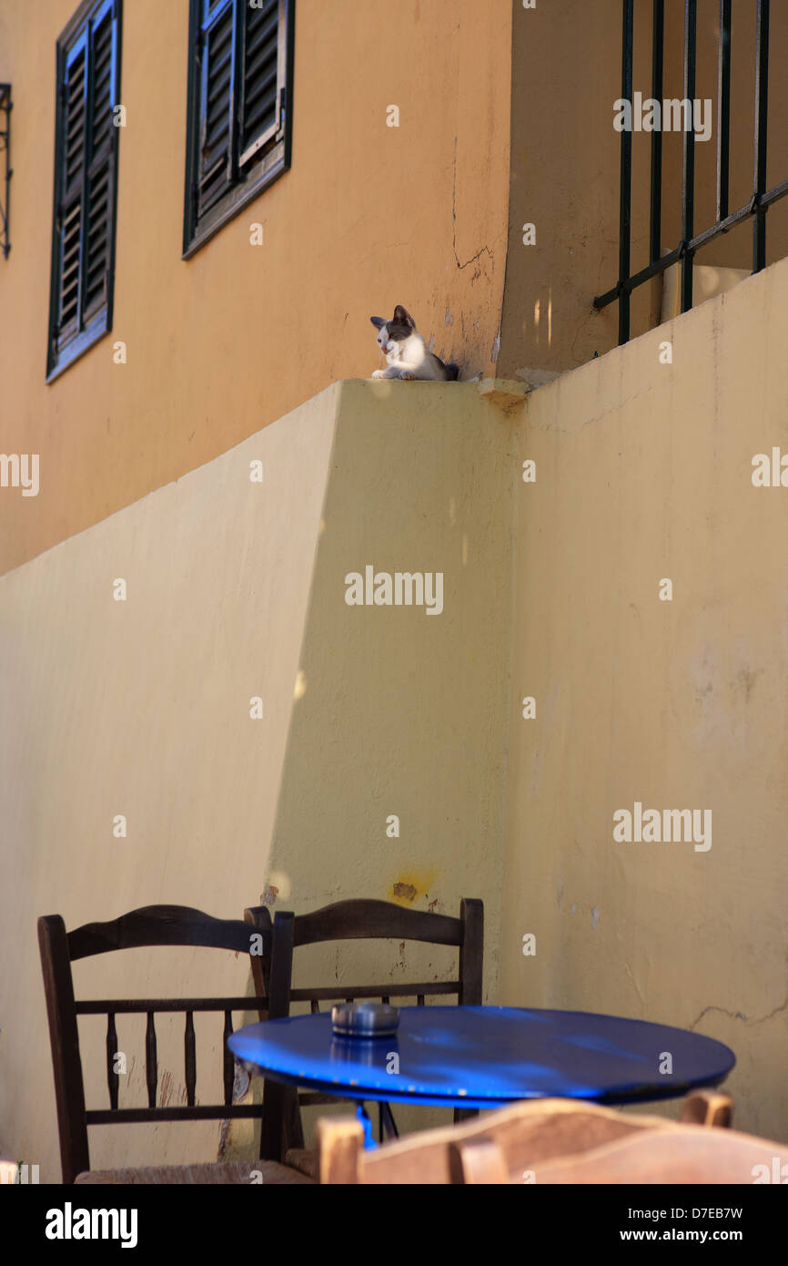 Kitten relaxing on a narrow ledge above a table and chairs in the Plaka district of Athens Greece Stock Photo