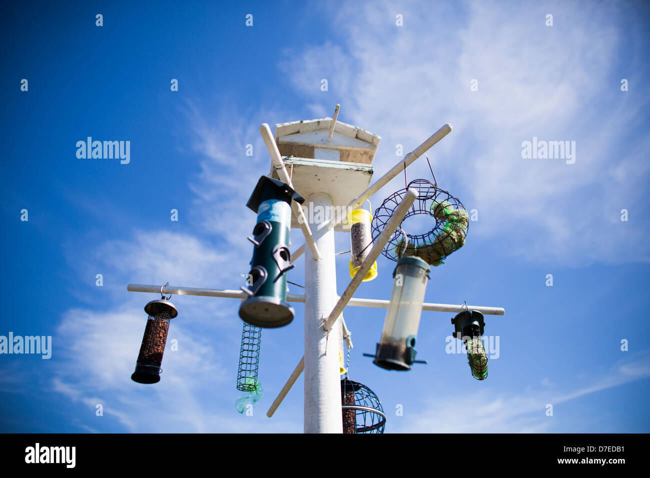 Bird Table With Multiple Bird Feeders Against A Blue Sky In The