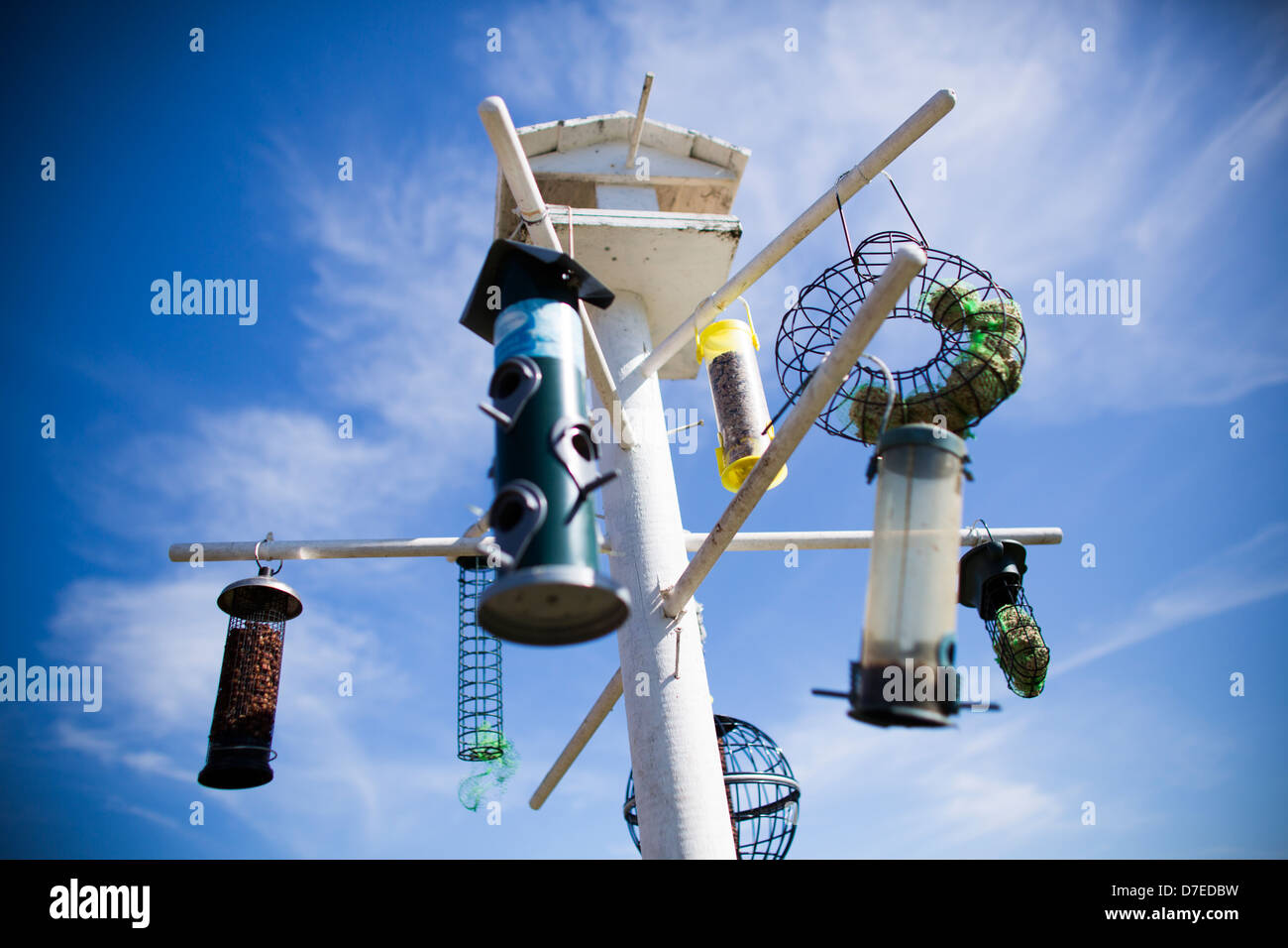 Bird Table With Multiple Bird Feeders Against A Blue Sky In The