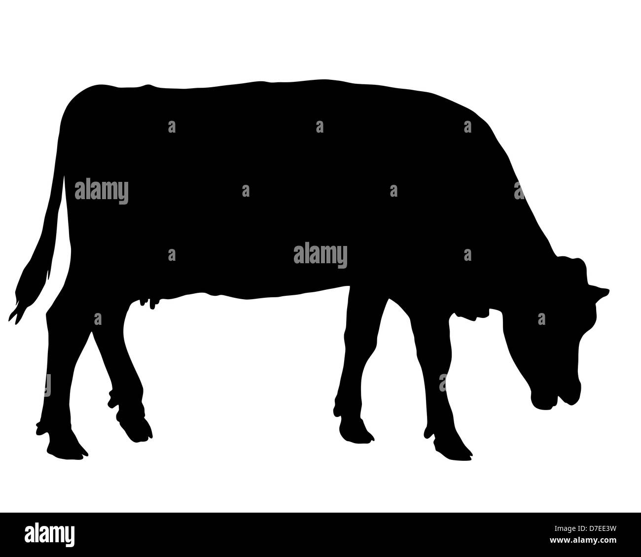 Grazing cow silhouette Black and White Stock Photos & Images - Alamy