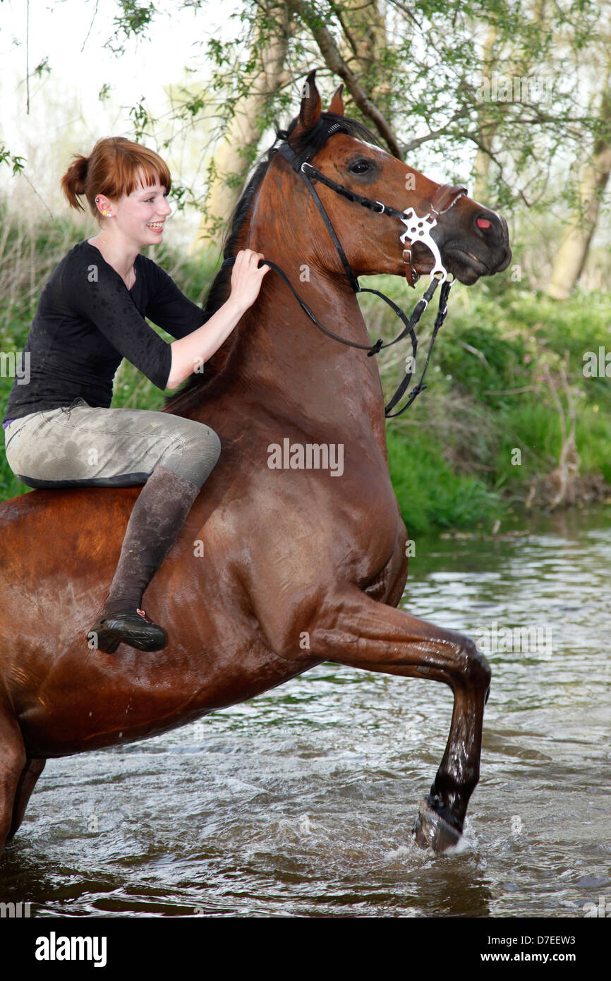 woman rides arabian horse Stock Photo