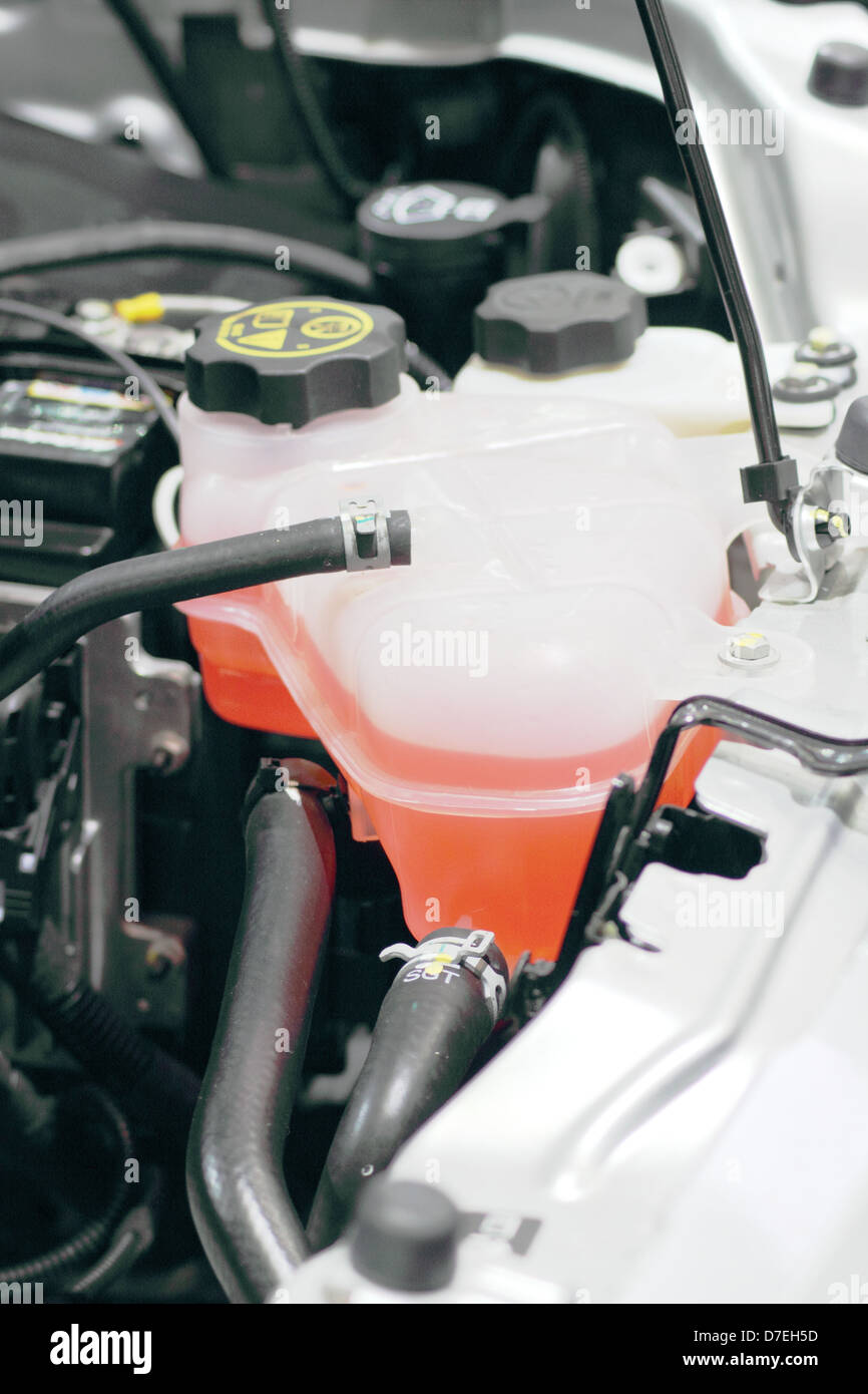 Coolant container in a car's engine bay Stock Photo