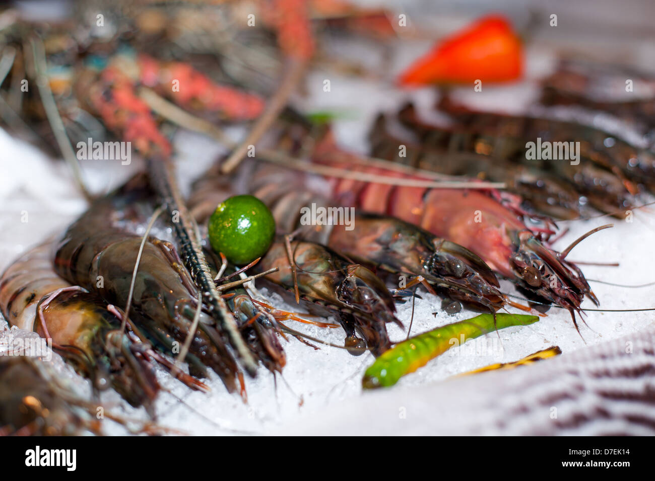 Fresh seafood in asian market, lobsters prawns and fish Stock Photo Alamy