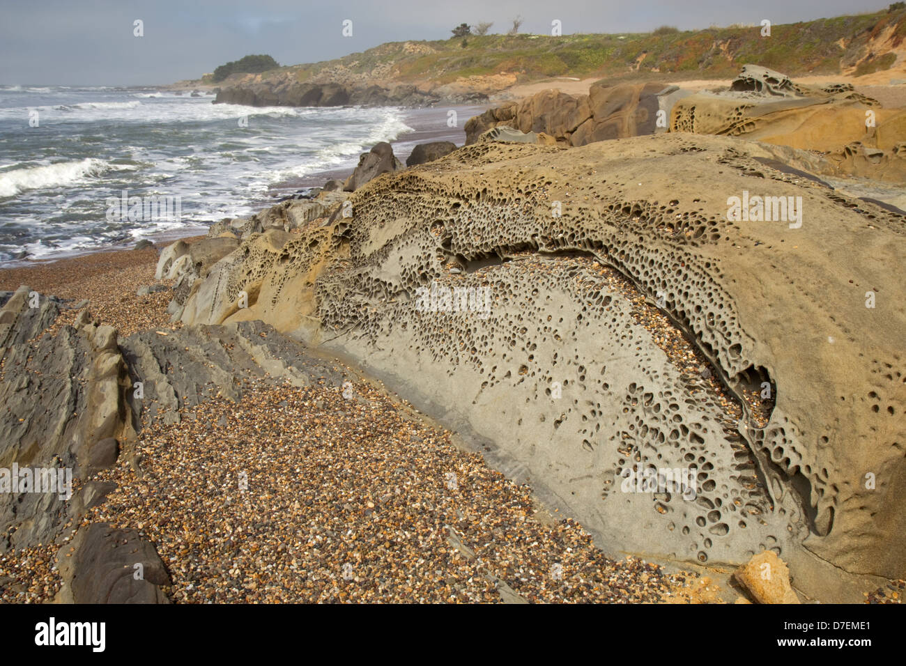Pebble beach at Bean Hollow State Beach in California Stock Photo Alamy