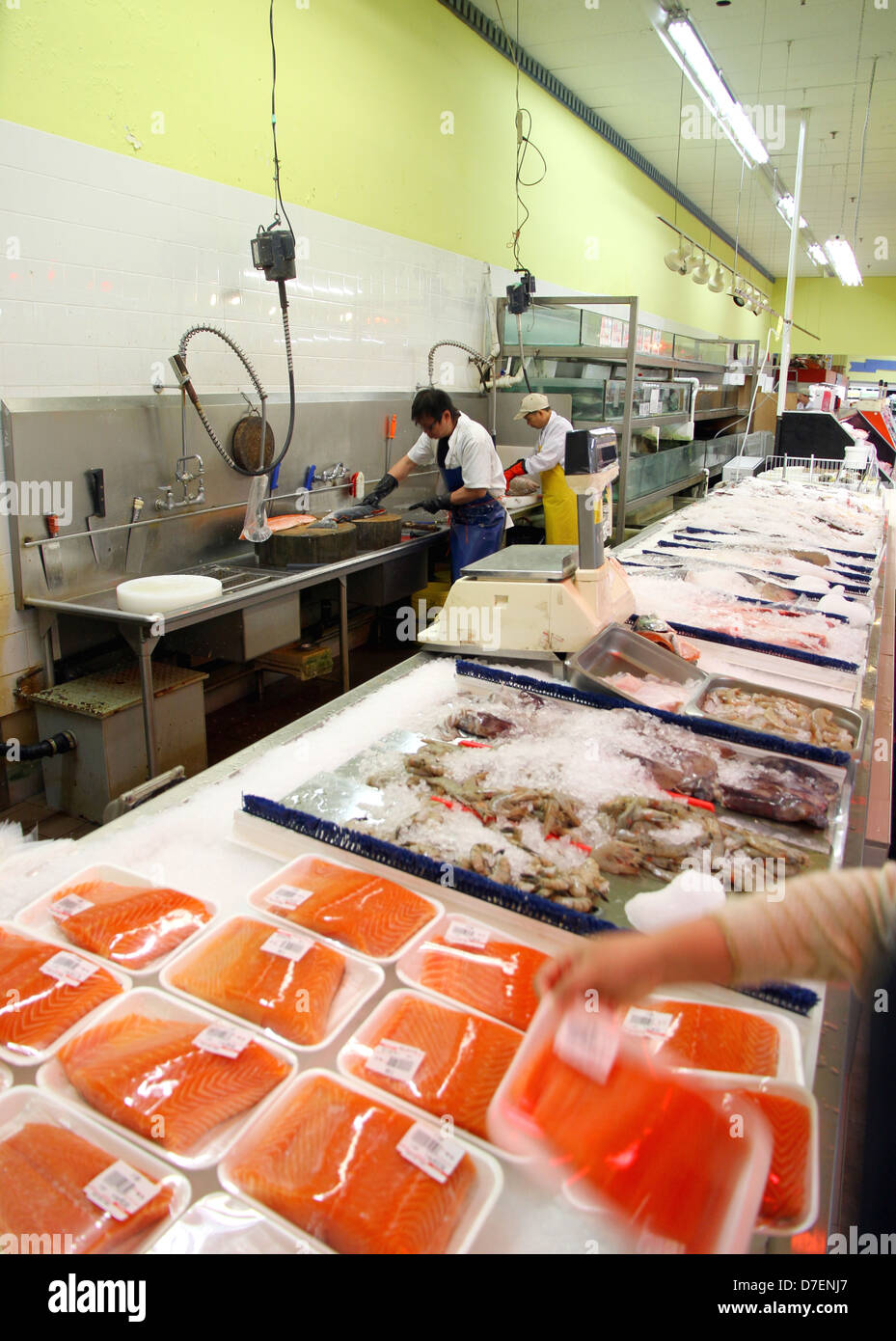 Choose your fish hires stock photography and images Alamy